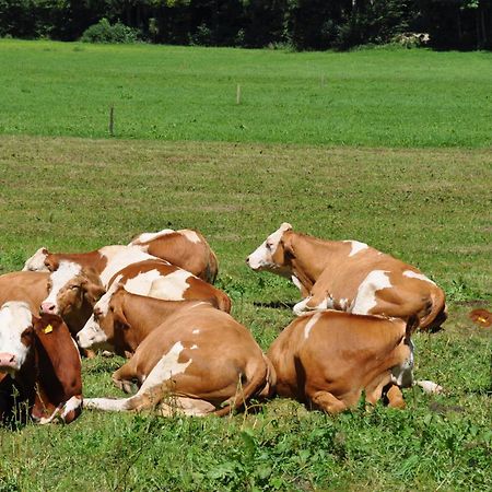Ferienwohnung Dichtlbauer Sankt Gilgen Luaran gambar