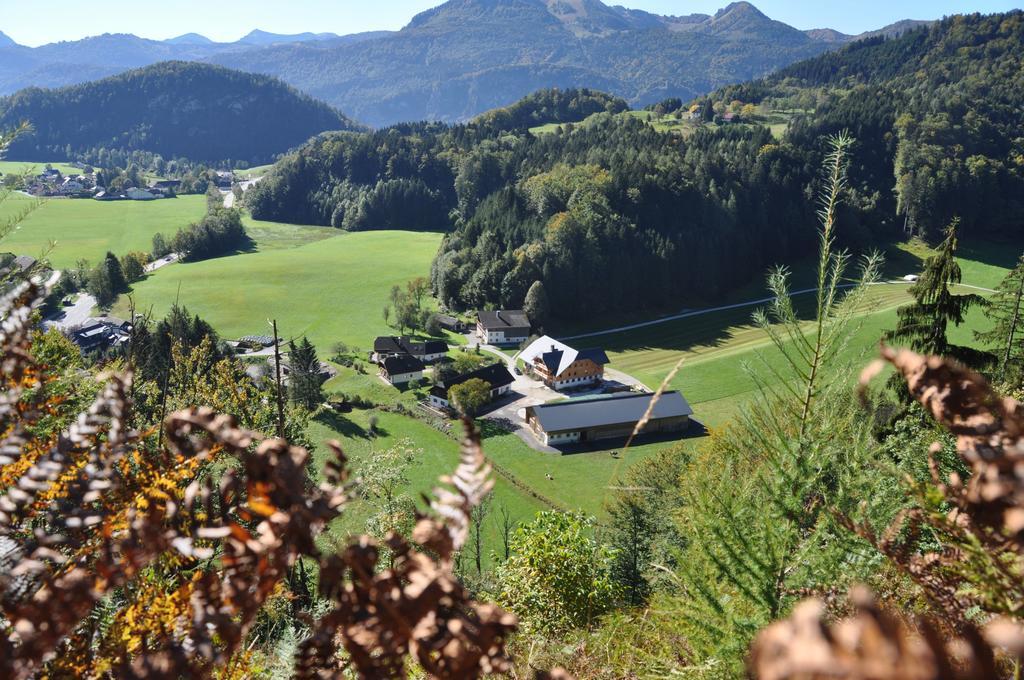Ferienwohnung Dichtlbauer Sankt Gilgen Luaran gambar
